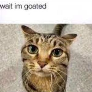 Meet your Posher, Christine